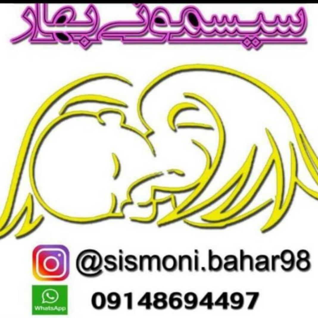 تولید و پخش سیسمونی نوزادی بهار در تبریز